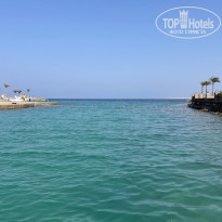 фото из отзыва ID 2741216