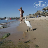 фото из отзыва ID 2741219