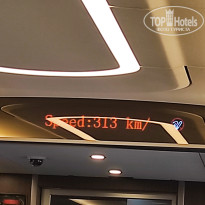 фото из отзыва ID 2741234