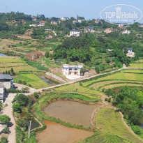 фото из отзыва ID 2741234