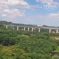 фото из отзыва ID 2741234