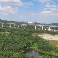 фото из отзыва ID 2741234