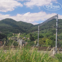 фото из отзыва ID 2741234