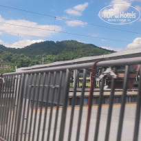 фото из отзыва ID 2741234