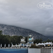 фото из отзыва ID 2741239