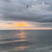 фото из отзыва ID 2741239