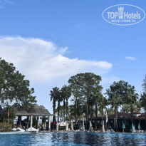 фото из отзыва ID 2741239