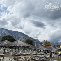 фото из отзыва ID 2741239