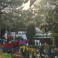 фото из отзыва ID 2741239