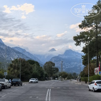 фото из отзыва ID 2741239