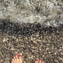 фото из отзыва ID 2741239