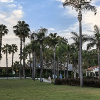 фото из отзыва ID 2741239