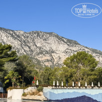 фото из отзыва ID 2741239