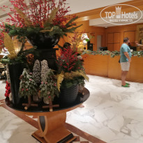 фото из отзыва ID 2741240