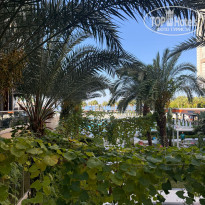 фото из отзыва ID 2741262