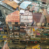 фото из отзыва ID 2741266