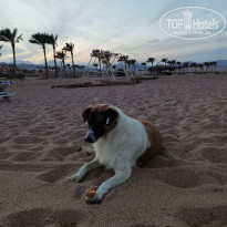 фото из отзыва ID 2741285