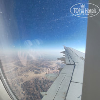 фото из отзыва ID 2741285