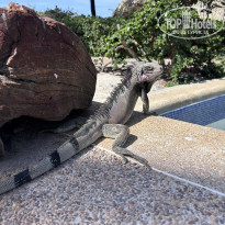 фото из отзыва ID 2741284