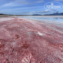 фото из отзыва ID 2741284