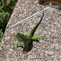 фото из отзыва ID 2741284