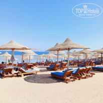 фото из отзыва ID 2741291