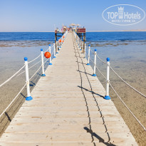 фото из отзыва ID 2741291