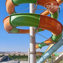 фото из отзыва ID 2741291