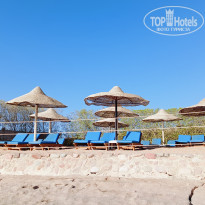 фото из отзыва ID 2741291