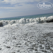 фото из отзыва ID 2741319