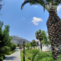 фото из отзыва ID 2741322