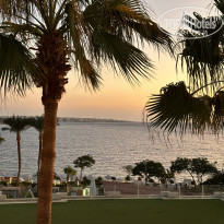 фото из отзыва ID 2741338