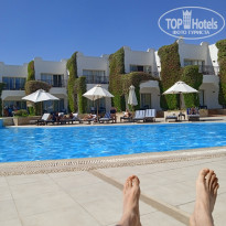 фото из отзыва ID 2741339