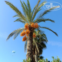 фото из отзыва ID 2740194