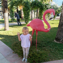 фото из отзыва ID 2740194