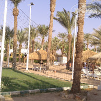 фото из отзыва ID 2741348