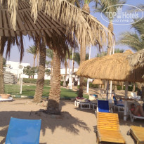 фото из отзыва ID 2741348