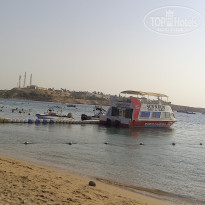 фото из отзыва ID 2741348