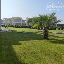 фото из отзыва ID 2741346