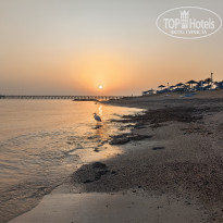 фото из отзыва ID 2741346