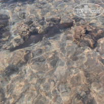 фото из отзыва ID 2741346