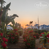 фото из отзыва ID 2741346