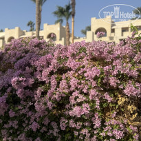 фото из отзыва ID 2741356