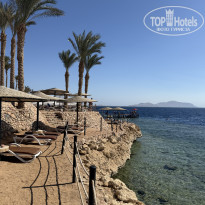 фото из отзыва ID 2741356