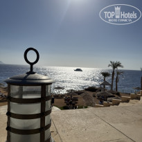 фото из отзыва ID 2741356