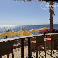 фото из отзыва ID 2741356