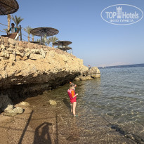 фото из отзыва ID 2741356