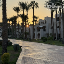 фото из отзыва ID 2741356