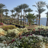 фото из отзыва ID 2741356