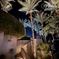 фото из отзыва ID 2741356